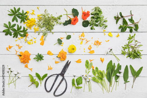 Collection of various herbs and edible flowers flat laid against white wooden surface photo