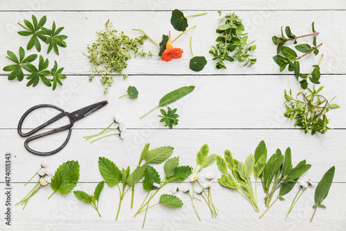 Collection of various herbs and edible flowers flat laid against white wooden surface