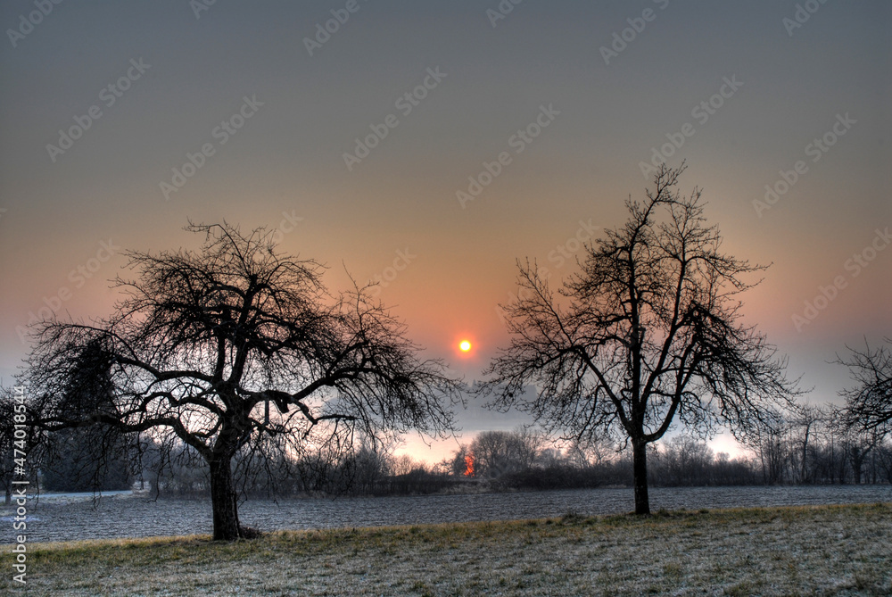 Sonnenaufgang am Bodensee im Winter Sonnenaufgang am Bodensee im Winter