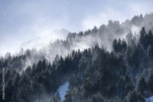 Forests and clouds in winter in Andorra Pyrenees. 