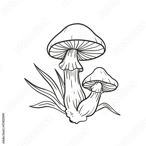 mushroom grass line illustration element