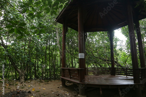 wooden shelter in the middle of the mangrove forest