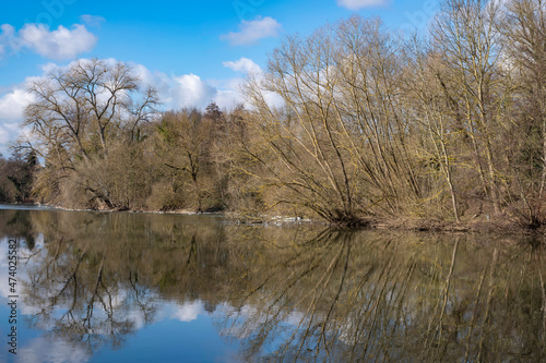 Reflection of trees in the Lahn / Germany on a sunny spring day