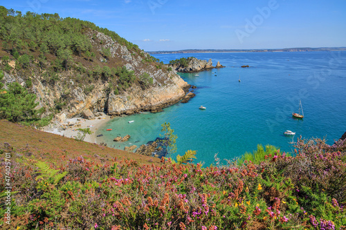 Presqu'île de Crozon, sur le GR 34, entre Morgat et le Cap de la Chèvre, Finistère, Bretagne