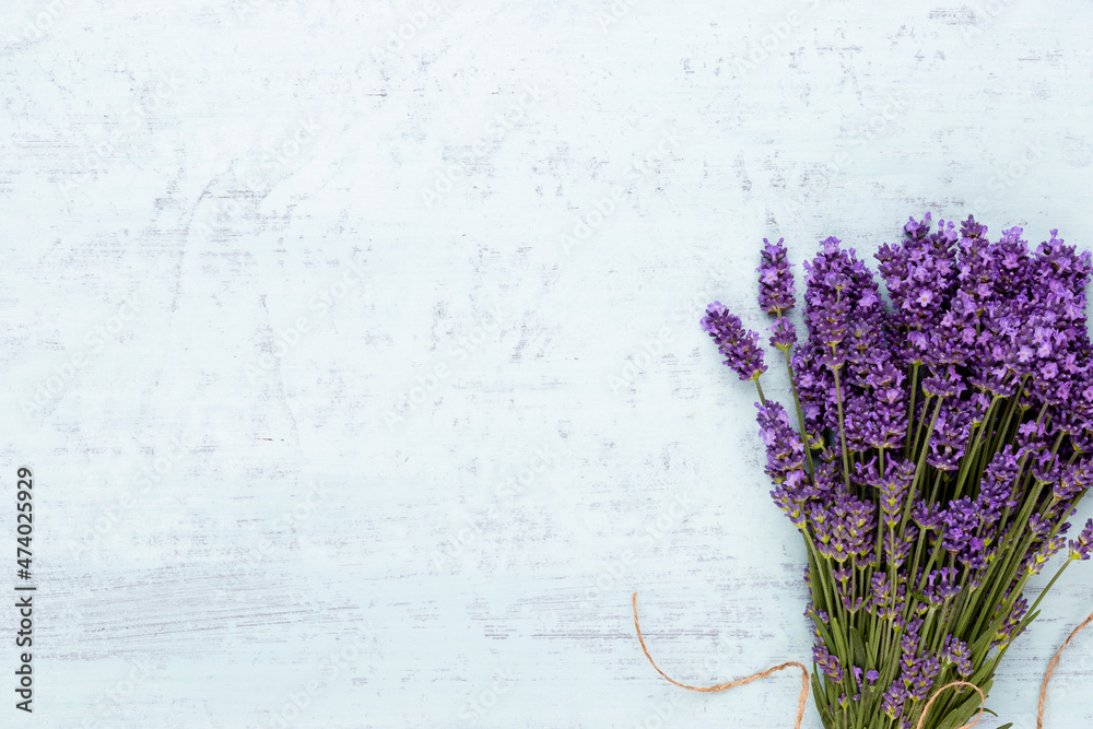 Fototapeta premium Lavender flowers on a white background.