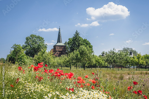 Flowers blooming in summer meadow with village church Monchow in background photo