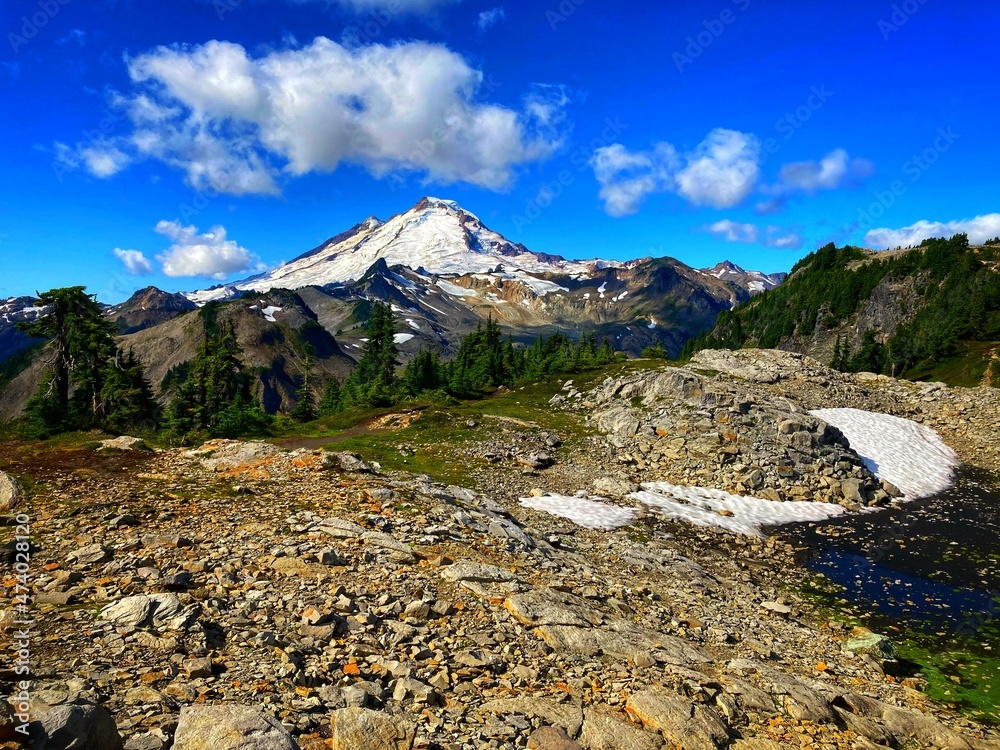 landscape of mount baker with forest, trees clouds, and blue sky