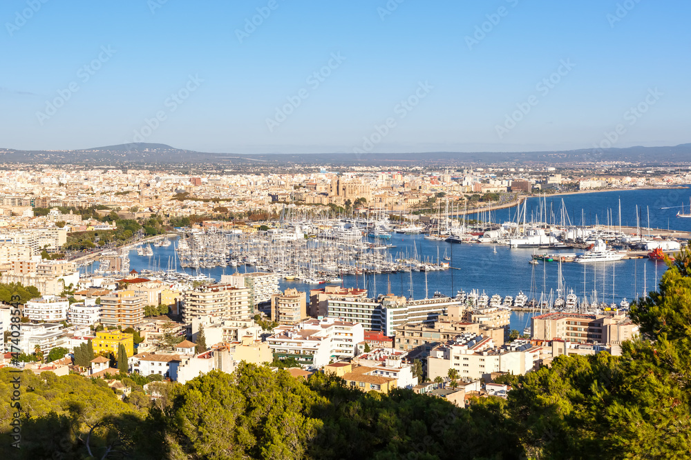 Palma de Mallorca marina harbor port with boats travel traveling holidays vacation in Spain