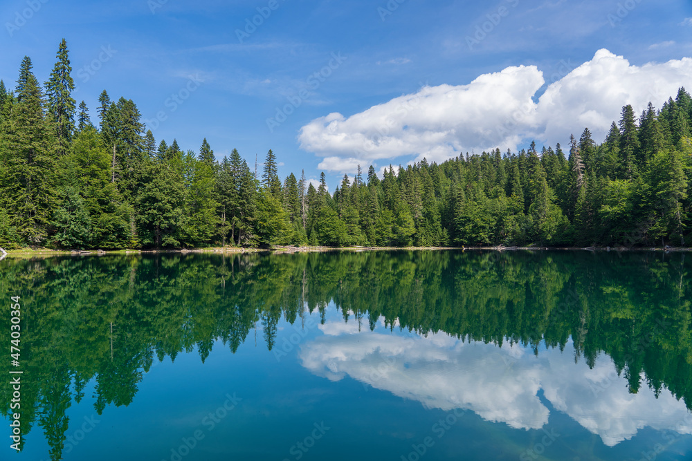 Fototapeta premium Mountain lake surrounded by dense coniferous and beech forest. Montenegro, Europe