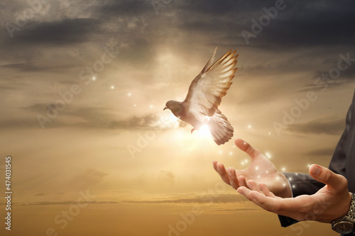 Businessman release dove from their hands flying against the background of a sunny sunset Fototapet
