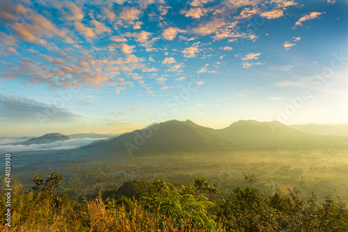 Mountains in clouds at sunrise in summer. Aerial view of mountain peak in fog. Beautiful landscape with high rocks  forest  sky.