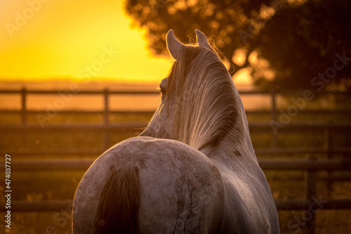 Good night and sweet dreams.