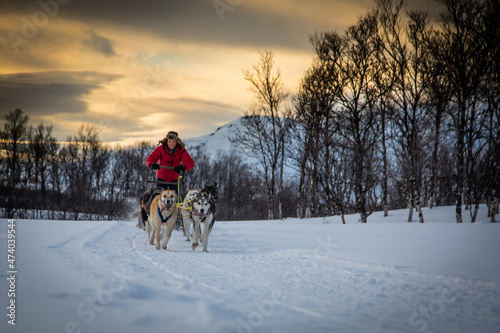 Man driving a dogsled in the snow