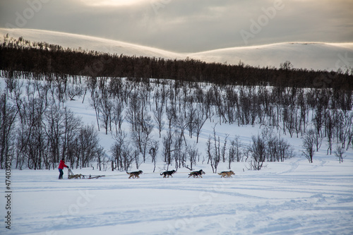 Man driving a dogsled in the snow