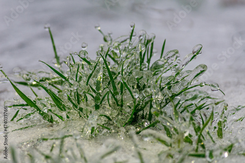 Juicy green grass covered with ice in a severe frost, covered with frozen drops of beads