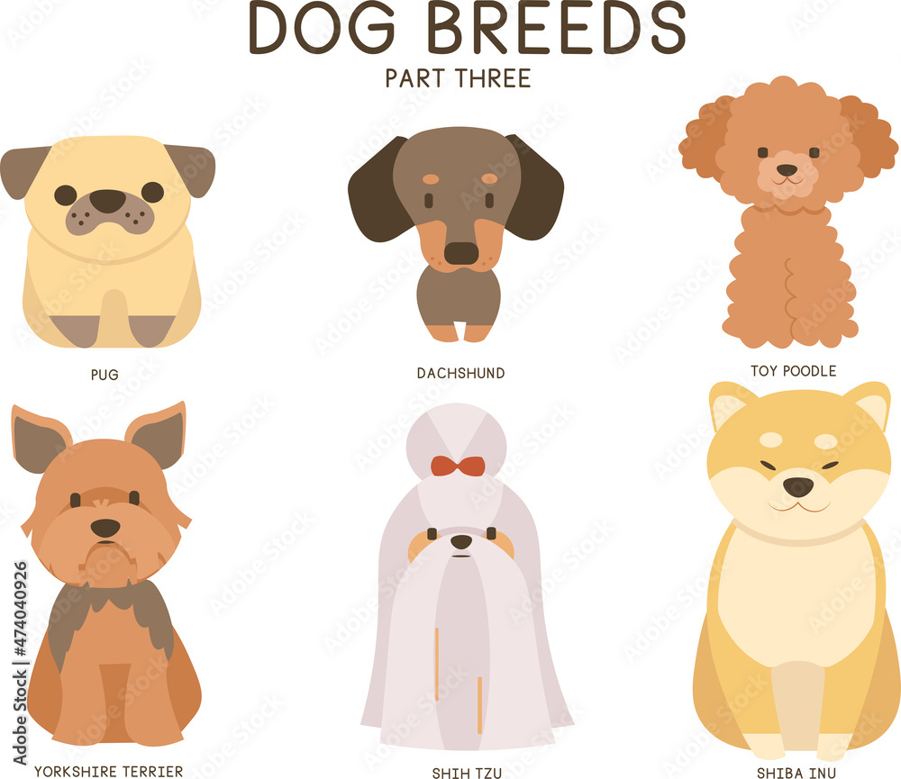 A vector set of Dog Breeds (part three): Pug, Dachshund, Toy Poodle, Yorkshire Terrier, Shih Tzu, Shiba Inu.