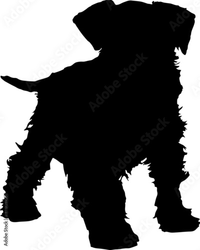 Miniature Schnauzer Silhouette SVG