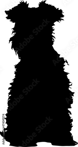 Miniature Schnauzer Silhouette SVG
