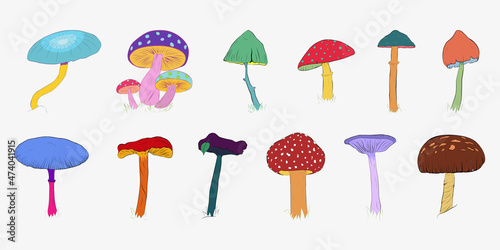 A set of various mushrooms drawn by hand. Mushrooms in a linear style. Vector eps illustration.