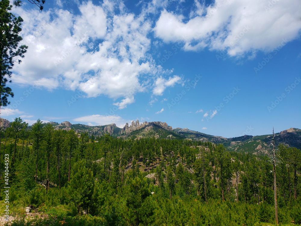 Views from the Needles Highway in Summer, South Dakota