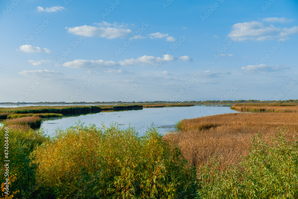 Tiszavirag education trail in Hungary. A part of lake tisza what show you what was the life of people whos live here. .They hungarian name was Pákász. Tiszavirag education trail in Hungary. A part of lake tisza what show you what was the life of people whos live here. .They hungarian name was Pákász.