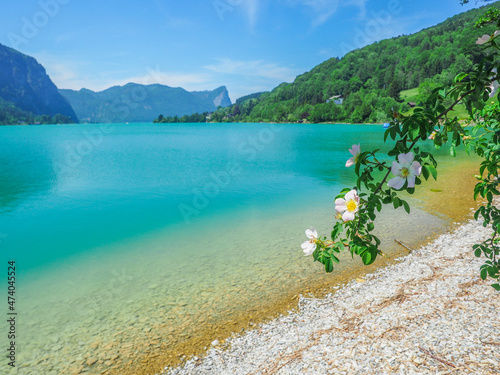 Salzkammergut - Frühling am Mondsee