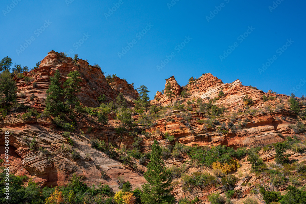 Zion Utah landscape photos including mountains, trees, rocks and blue sky