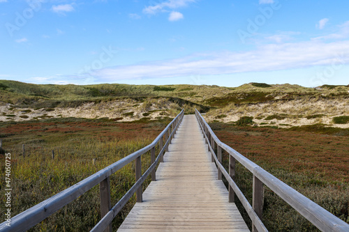 Wallpaper Mural Wooden walkway through the dunes on Sylt Torontodigital.ca