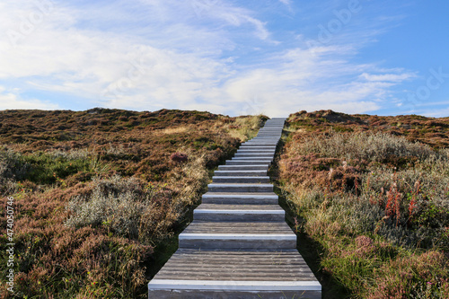 Wooden walkway through the dunes on Sylt