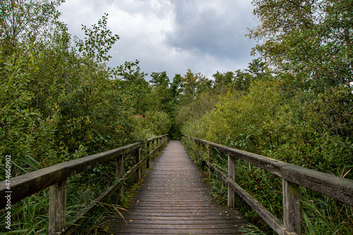 Ein Holzbrücke über die Aalbek im Naturschutzgebiet Aalbek-Niederung