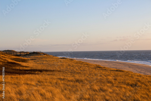 Golden hour in the north of Germany  Sylt