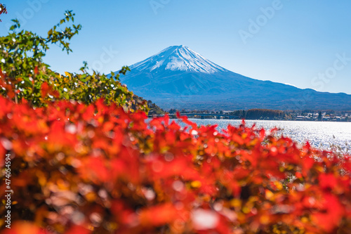 河口湖の秋風景２０２１
