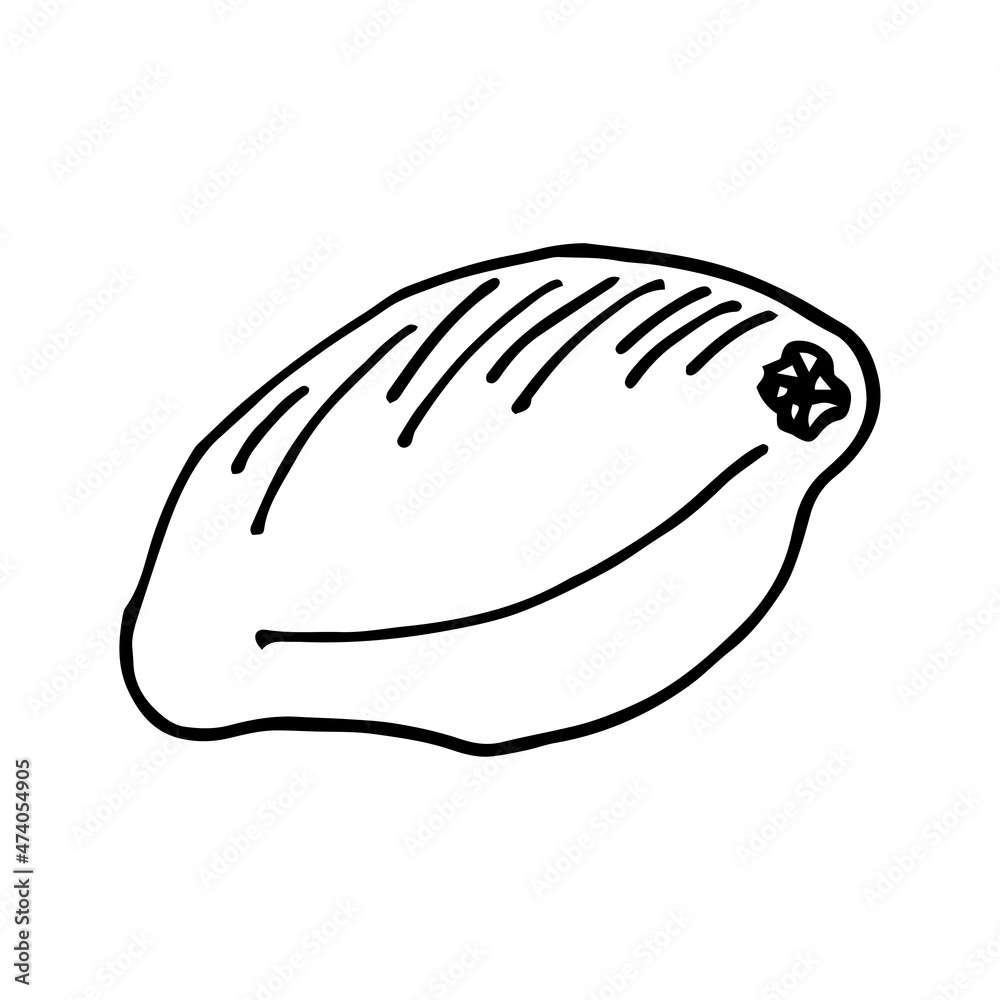 Lemon isolated doodle illustration black and white. Lemon isolated doodle illustration black and white.