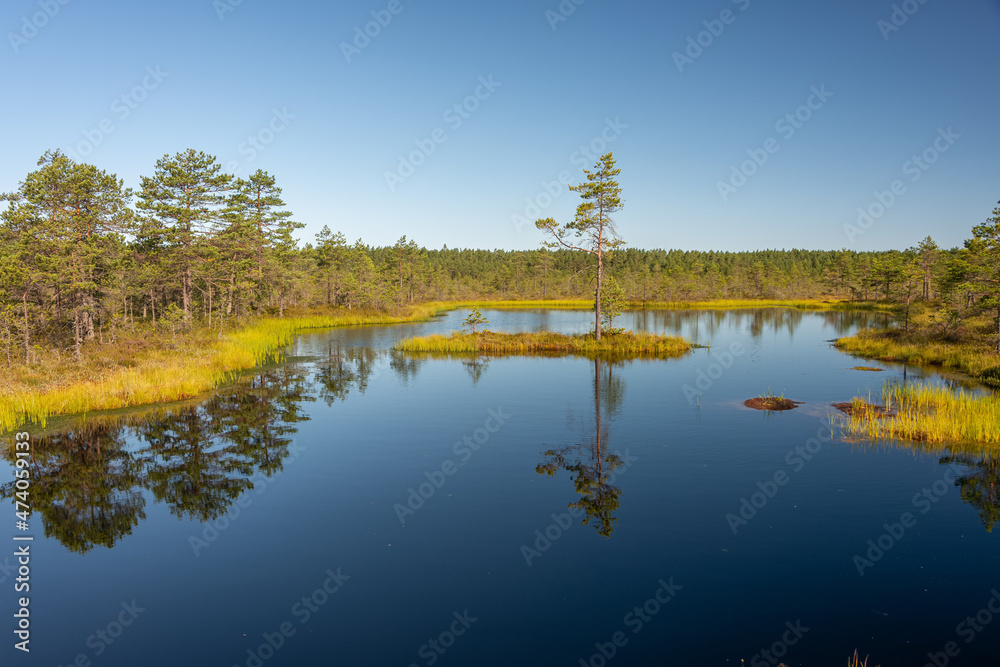 Viru bog nature trail,Harju County, Lahemaa National Park, Estonia