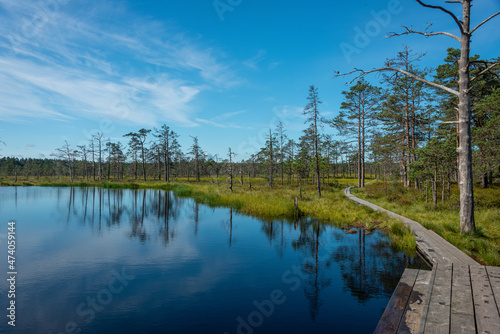 Viru bog nature trail,Harju County, Lahemaa National Park, Estonia photo