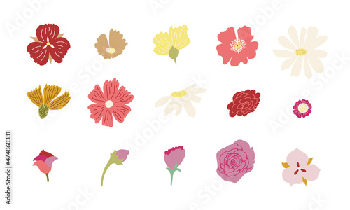 Set of flower heads. Modern style flat organic illustrations. For decorations, patterns, compositions, etc.
