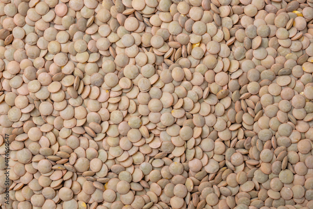 food varietly venezuenaln tasty food varietly venezuenaln tasty
