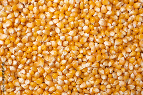 food varietly venezuenaln tasty