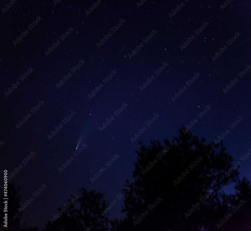 cometa cometa