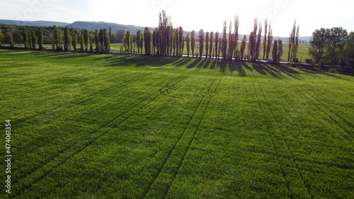 Green field with car on a road on background. Beautiful aerial landscape. Top view. Shooting from a drone or quadrocopter. Traffic on highway.