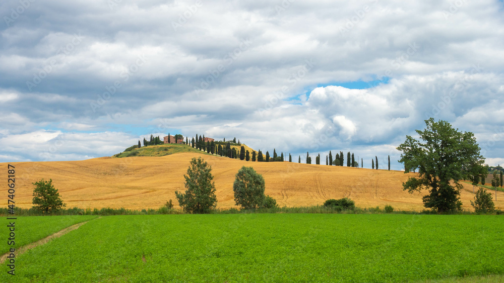 Tipico paisaje toscano, con colinas y cipreses cercano a Pienza, en le crete senesi, Toscana, Italia. Tipico paisaje toscano, con colinas y cipreses cercano a Pienza, en le crete senesi, Toscana, Italia.