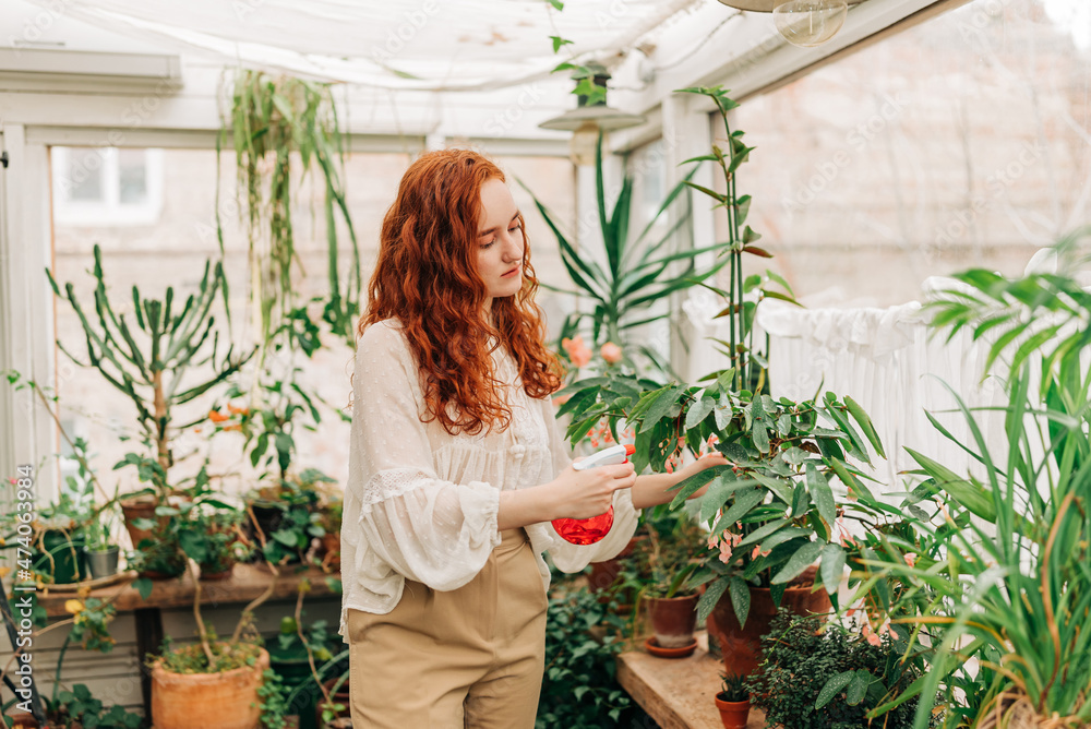 Woman spraying potted plants with water Woman spraying potted plants with water