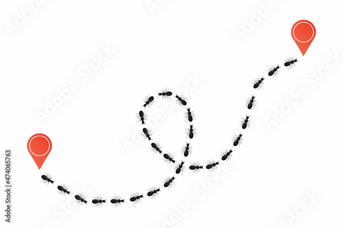 Tracking ants colony location by pest control. Road path of chaotic running ants with map pin signs. Follow the route line of travelling insects. Pest control and navigation concept.
