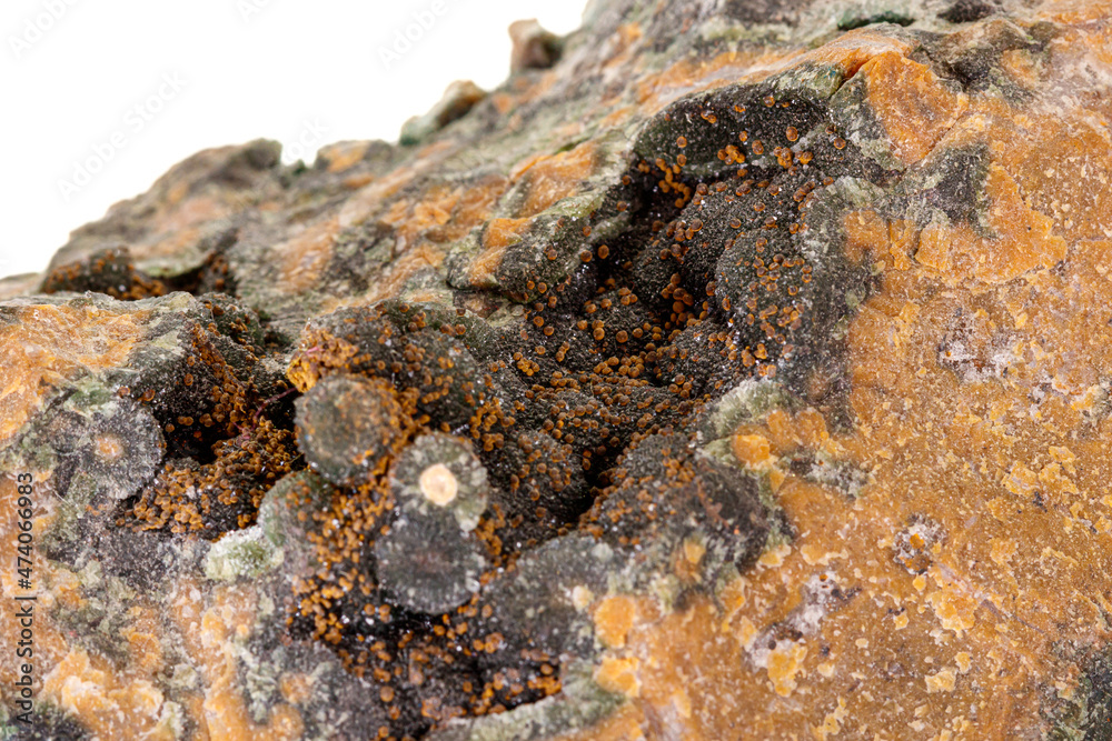 Macro stone mineral quartz with chlorite on a white background Macro stone mineral quartz with chlorite on a white background