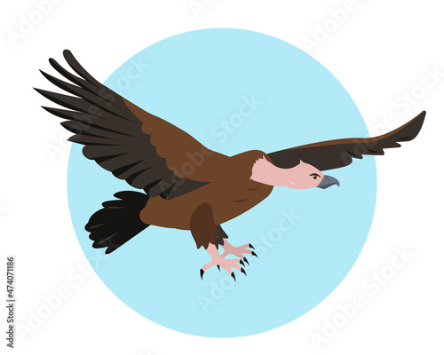 Vulture bird flying in sky. Bird vulture icon isolated for Nature, bird watching and ornithology design. Vector cartoon or flat illustration.