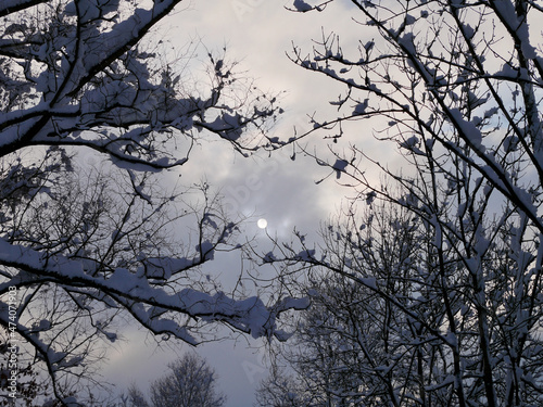 Sun and clouds seen through tree branches deeply covered in snow. Beautiful winter landscape. Feldkirch, Austria.