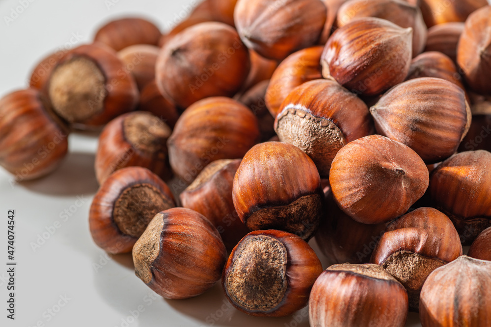Hazelnuts in the shell. Round filbert, ripe fruit of a Corylus avellana hazel shrubs. Hazelnuts in the shell. Round filbert, ripe fruit of a Corylus avellana hazel shrubs.