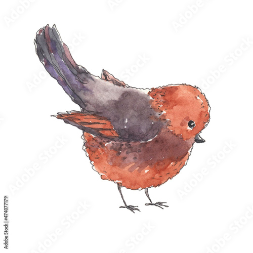 Little bird hand drawn in watercolor sketching style. Animal illustration.
