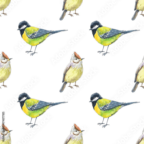 Watercolor seamless pattern with birds. Spring animal background for textile, wrapping paper, wallpaper design.