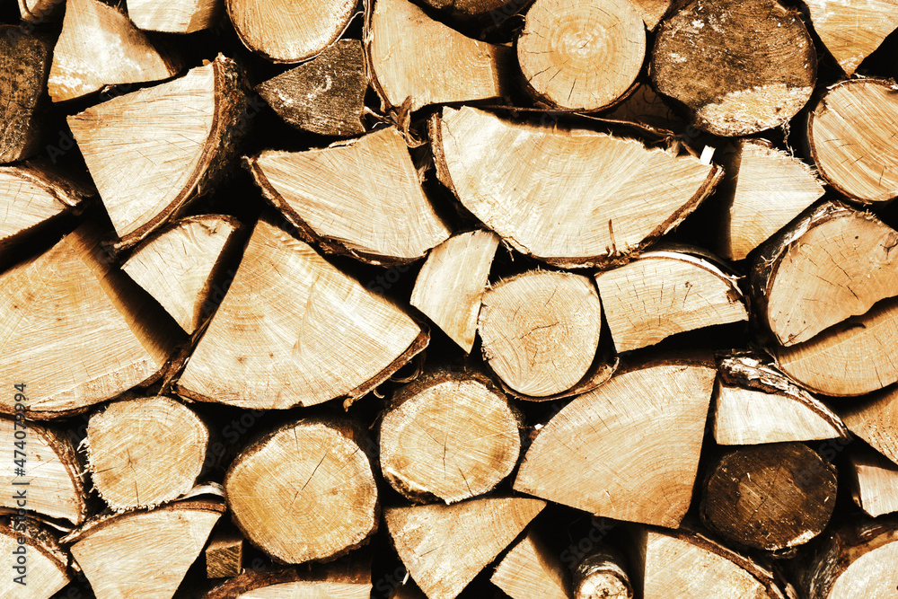 Tree cut cross section texture. Wood industry background. Chopped wood texture. Firewood background. Stacked tree logs pattern. Pile of raw tree wood in forest. Wood industry background. Tree cut cross section texture. Wood industry background. Chopped wood texture. Firewood background. Stacked tree logs pattern. Pile of raw tree wood in forest. Wood industry background.